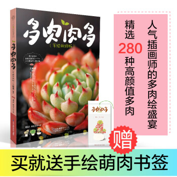 懶人多肉一養(yǎng)就活